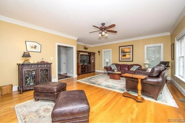1638 Fallen Timber Trl, Powhatan, VA 23139 - living area featuring wood finished floors, a ceiling fan, and ornamental molding