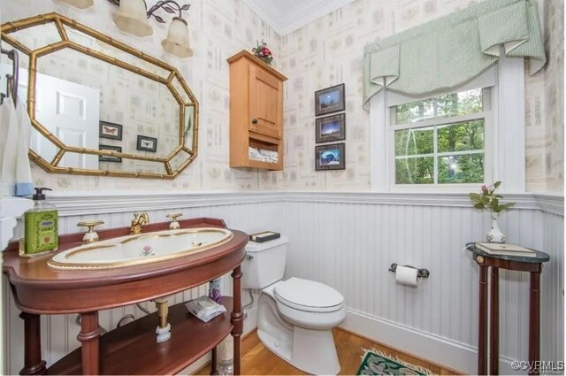 1638 Fallen Timber Trl, Powhatan, VA 23139 - bathroom with wallpapered walls, wood finished floors, wainscoting, and crown molding