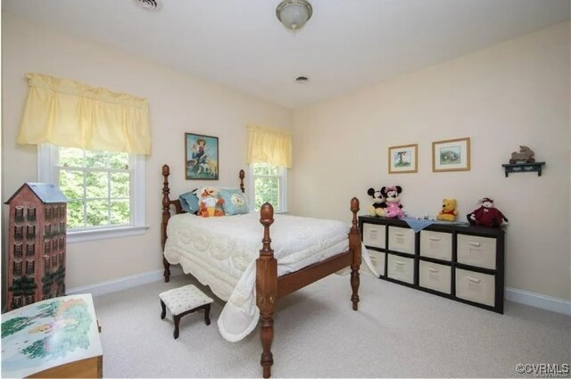 1638 Fallen Timber Trl, Powhatan, VA 23139 - bedroom with carpet floors and baseboards