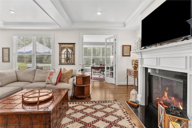5154 Lake Summer Loop, Moseley, VA 23120 - living area with a glass covered fireplace, a tray ceiling, wood finished floors, plenty of natural light, and ornamental molding