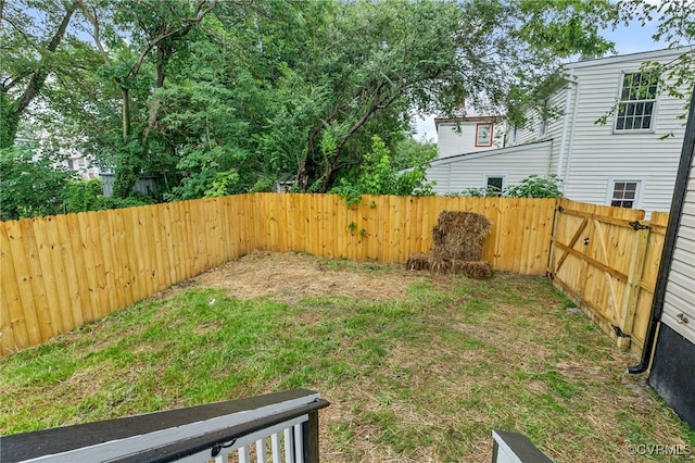 851 Hinton St, Petersburg, VA 23803 - photo 35