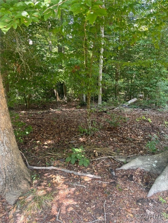 173 Forest Heights Rd, Williamsburg, VA 23188