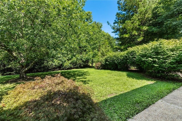 4410 Sharonridge Dr, North Chesterfield, VA 23236 - view of green lawn