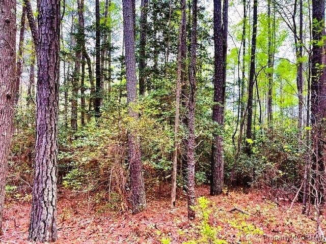 LOT161 Meadowview Ln, Lancaster, VA 22503