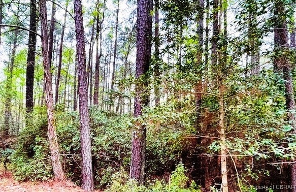 LOT161 Meadowview Ln, Lancaster, VA 22503