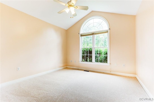 362 Yanceyville Rd, Louisa, VA 23093 - photo 11