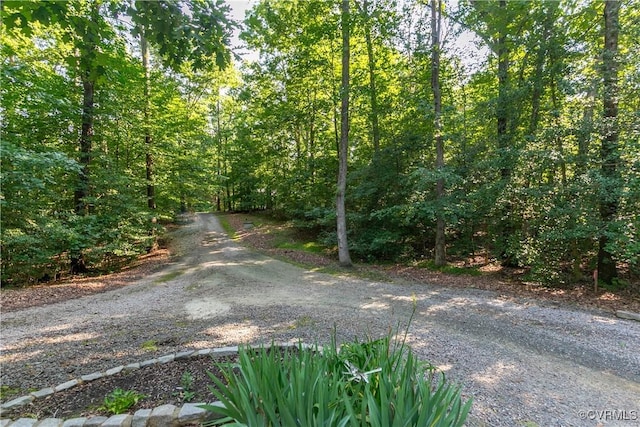 8466 Anderson Ct, Mechanicsville, VA 23116 - photo 48