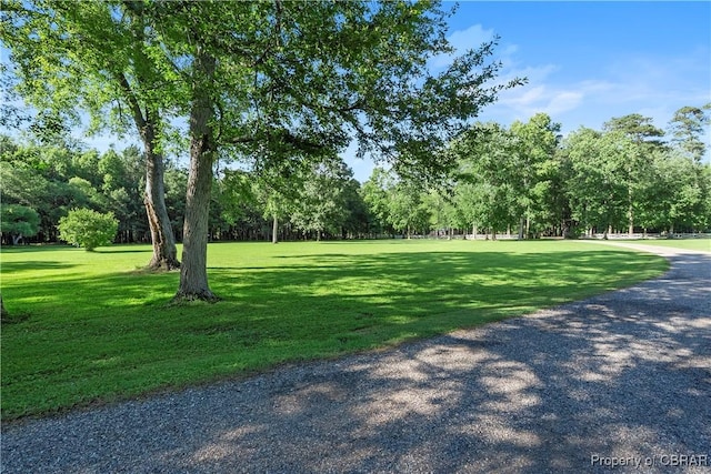985 Kingston Ln, North, VA 23128 - surrounding community with a lawn and view of scattered trees
