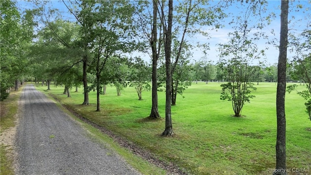 985 Kingston Ln, North, VA 23128 - view of street with view of wooded area