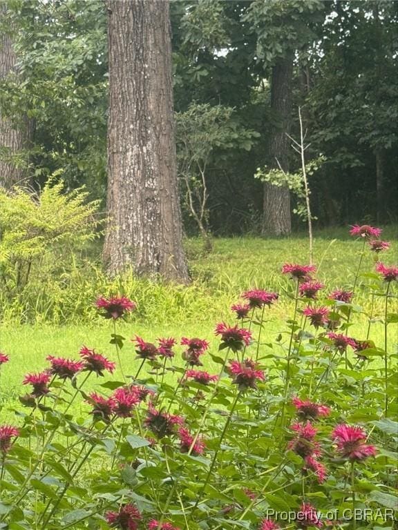 4600 Warriner Rd, Henrico, VA 23231 - photo 30