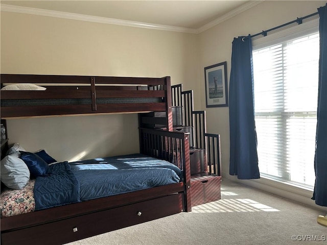5623 Virginia Park Dr, Providence Forge, VA 23140 - bedroom with crown molding and carpet flooring