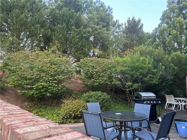 5623 Virginia Park Dr, Providence Forge, VA 23140 - view of patio / terrace featuring outdoor dining space and area for grilling