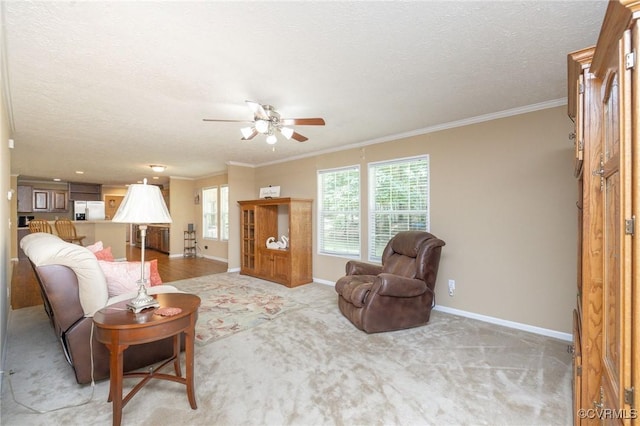 3737 Shelton Store Rd, Buckingham, VA 23921 - living area with a ceiling fan, ornamental molding, light colored carpet, and a textured ceiling