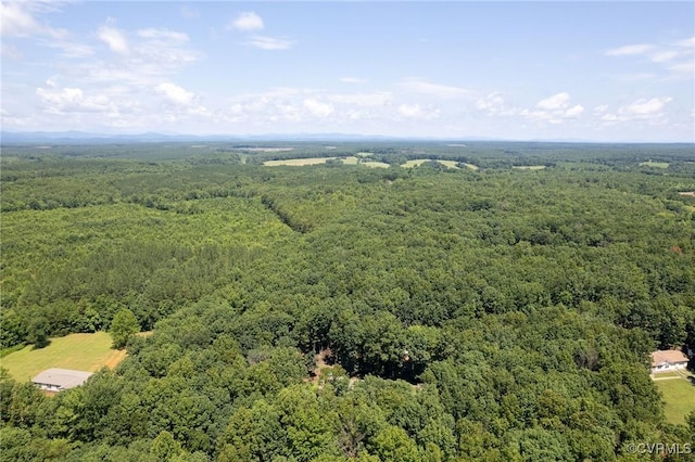 3737 Shelton Store Rd, Buckingham, VA 23921 - aerial view of a forest