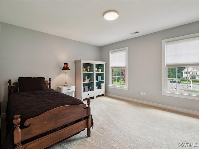 13509 Raftersridge Ct, Midlothian, VA 23113 - photo 26
