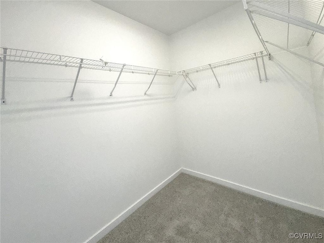 13425 Ridgemoor Ln, Midlothian, VA 23114 - photo 27