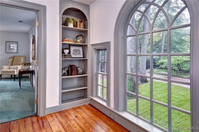 99 Walnut Hills Dr, Williamsburg, VA 23185 - detailed view of built in shelves and wood finished floors