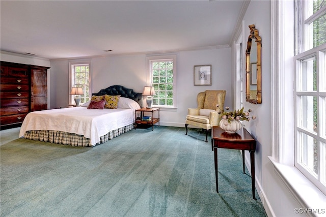 99 Walnut Hills Dr, Williamsburg, VA 23185 - bedroom with carpet floors, multiple windows, and crown molding