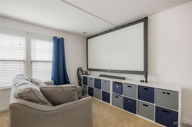 8838 Rushbrooke Ln, Mechanicsville, VA 23116 - view of carpeted cinema