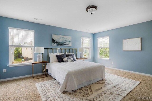 8838 Rushbrooke Ln, Mechanicsville, VA 23116 - bedroom with carpet floors and baseboards