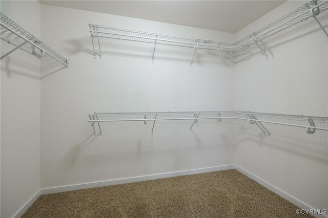 8838 Rushbrooke Ln, Mechanicsville, VA 23116 - spacious closet featuring carpet flooring
