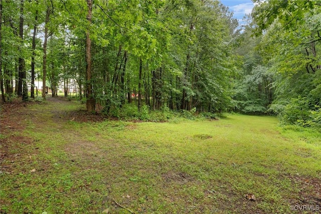 11820 Winterpock Rd, Chesterfield, VA 23838 - photo 43