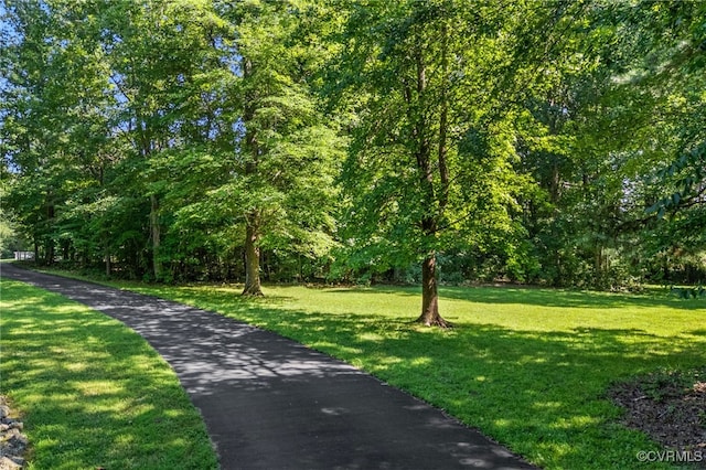 11820 Winterpock Rd, Chesterfield, VA 23838 - photo 46