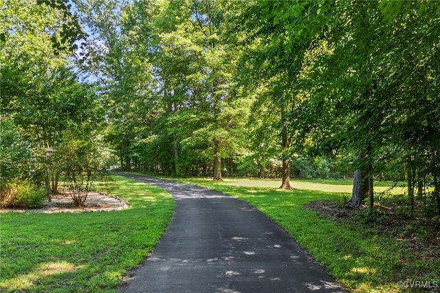 11820 Winterpock Rd, Chesterfield, VA 23838 - photo 47