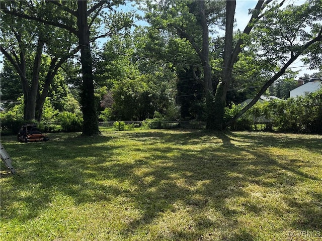 8409 Zell Ln, Henrico, VA 23229 - view of yard