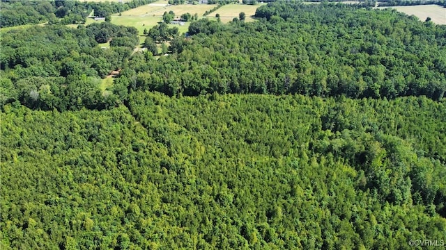 TBD Doris Ln, Ruther Glen, VA 22546 - photo 14