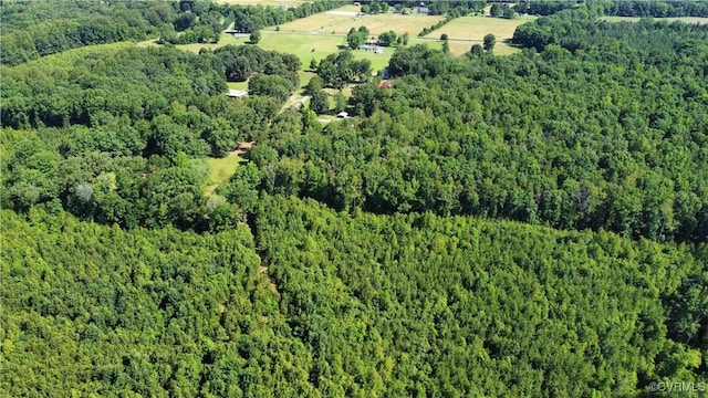 TBD Doris Ln, Ruther Glen, VA 22546 - photo 15