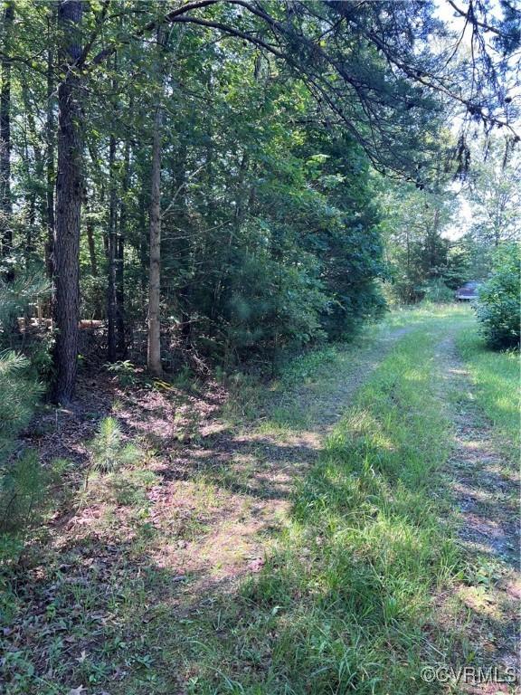 TBD Doris Ln, Ruther Glen, VA 22546 - photo 21