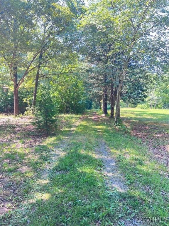 TBD Doris Ln, Ruther Glen, VA 22546 - photo 22