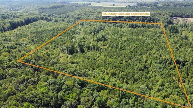 TBD Doris Ln, Ruther Glen, VA 22546 - photo 1