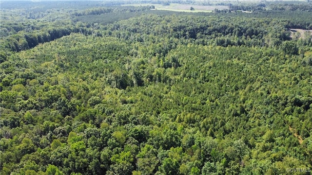 TBD Doris Ln, Ruther Glen, VA 22546 - photo 2