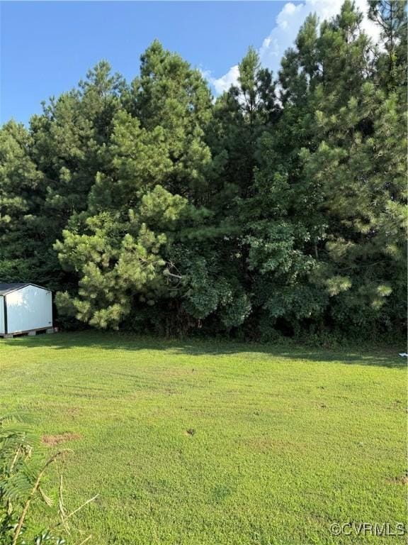 109 S St, Highland Springs, VA 23075 - photo 11