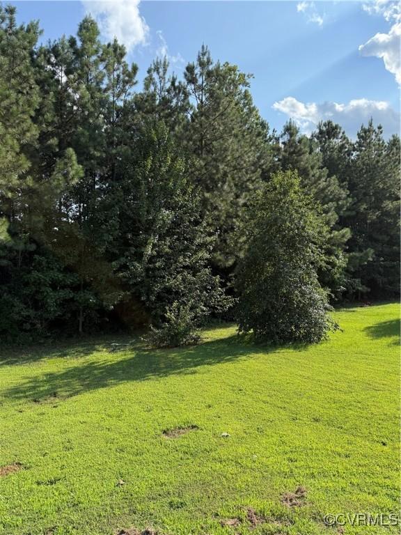 109 S St, Highland Springs, VA 23075 - photo 12