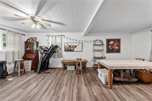 2226 Highland Dr, Powhatan, VA 23139 - recreation room with wood finished floors and ceiling fan