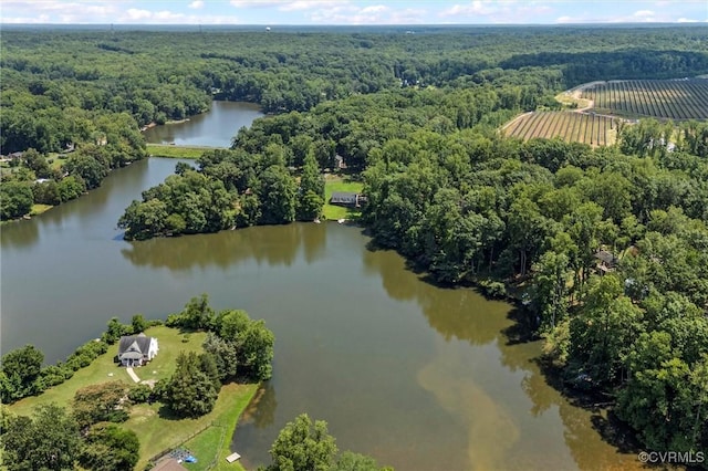2226 Highland Dr, Powhatan, VA 23139 - aerial view of a forest and a large body of water