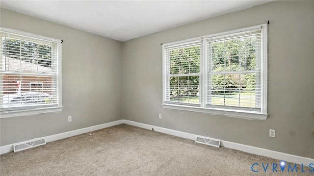 23234 Hanging Tree Rd, Courtland, VA 23837 - photo 20