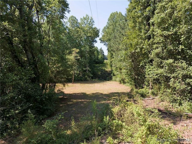 366 Patterson Rd, Mattaponi, VA 23110 - view of woods