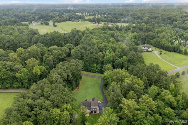 11499 Jack Ln, Hanover, VA 23146 - overview of rural landscape featuring a forest