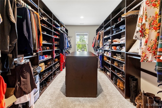 16507 Hannington Dr, Midlothian, VA 23112 - spacious closet with carpet floors