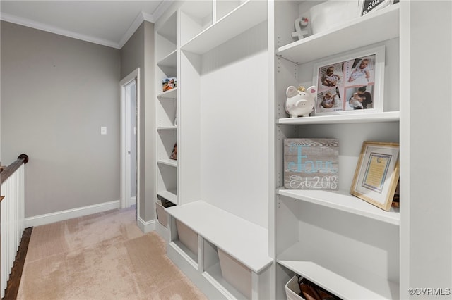 16507 Hannington Dr, Midlothian, VA 23112 - mudroom with carpet, ornamental molding, and built in features