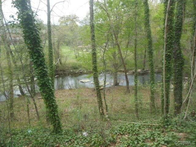 5220 Castlewood Rd Unit E, Chesterfield, VA 23234 - water view with a heavily wooded area