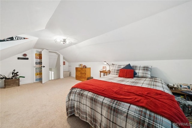4619 Otterdale Rd, Moseley, VA 23120 - bedroom with carpet and lofted ceiling