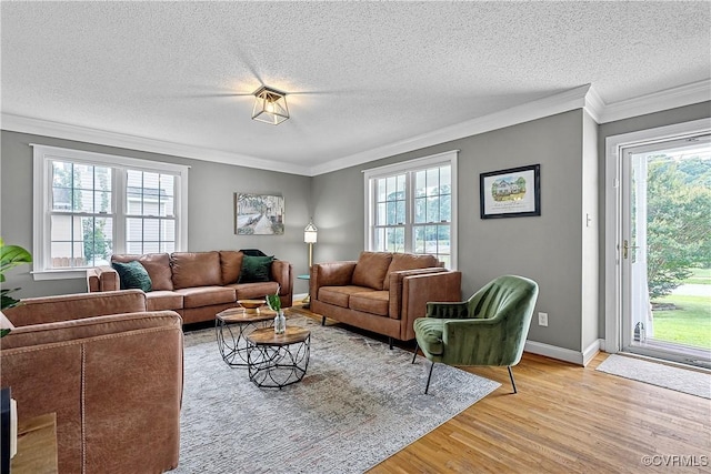 5019 Misty Spring Dr, Midlothian, VA 23112 - living area with ornamental molding, wood finished floors, and a textured ceiling