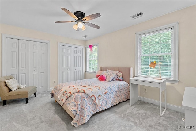 5019 Misty Spring Dr, Midlothian, VA 23112 - bedroom with carpet floors, multiple windows, and two closets