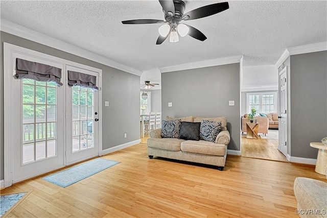 5019 Misty Spring Dr, Midlothian, VA 23112 - living room featuring a ceiling fan, plenty of natural light, light wood-style floors, crown molding, and a textured ceiling