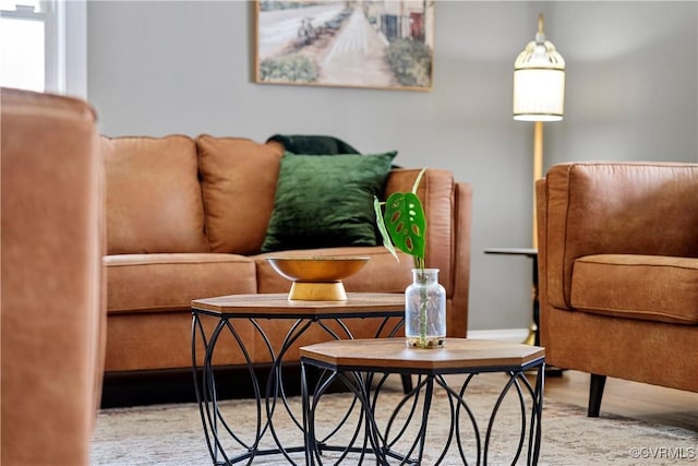 5019 Misty Spring Dr, Midlothian, VA 23112 - view of living area